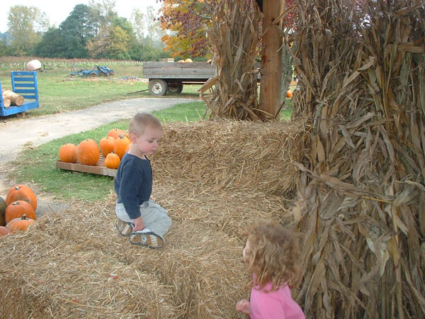 Atticus has probably never even seen a bale of hay before this.jpg 121.6K